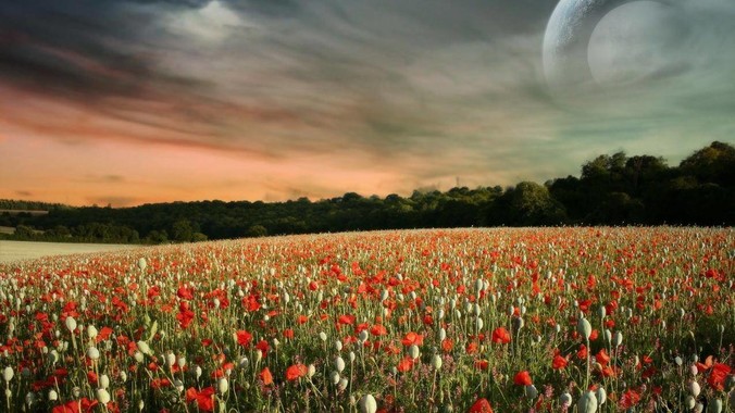 为什么都认为无GC语言一定会比有GC语言要快？